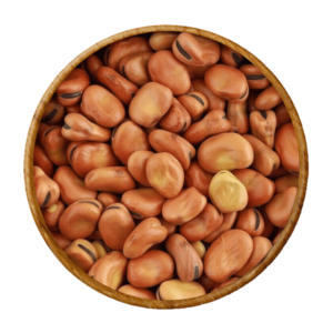 Pattu Faba Beans in Bowl