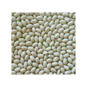 Pattu Great Northern Beans