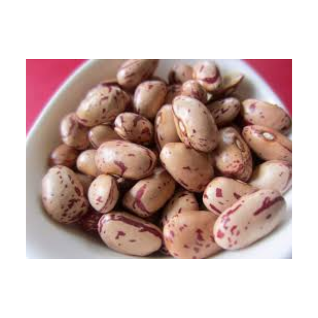cranberry beans