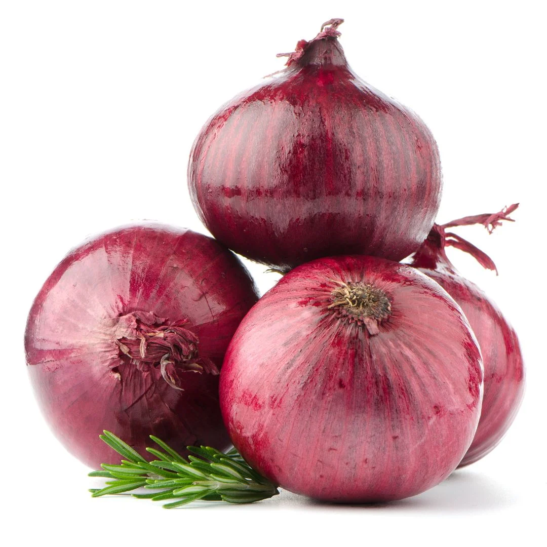 Onion Red 10 Kgs